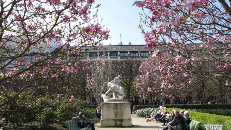 Dimanche après-midi les dix poètes québécois à l'honneur à l'occasion d'une lecture de leurs poèmes et ceux de dix poètes français dans les jardins du Palais-Royal. Photo LUDOVIC MARIN / AFP / Getty Images