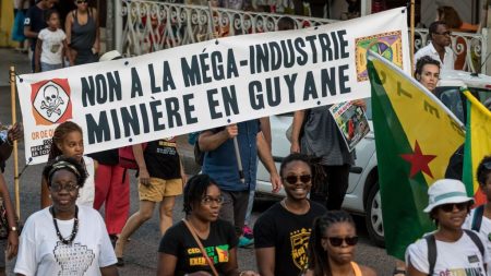 Guyane: un eurodéputé écologiste dénonce un projet minier russo-canadien