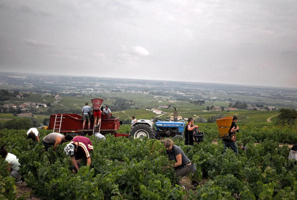 Dans la Vallée du Rhône, ont été adopté un système de lutte innovant avec radar et ballons chargés de sels, c’est efficace surtout pour éviter la grêle. Photo JEAN-PHILIPPE KSIAZEK / AFP / Getty Images.