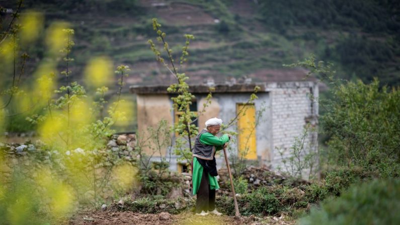 Le 12 mai 2018, marquera le dixième anniversaire du séisme qui a tué quelque 87 000 personnes dans la province du Sichuan. 
JOHANNES EISELE/AFP/Getty Images)