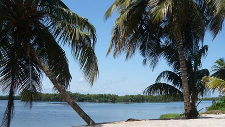 Côte d’Ivoire: chauves-souris, varans… et canons aux îles Ehotilé