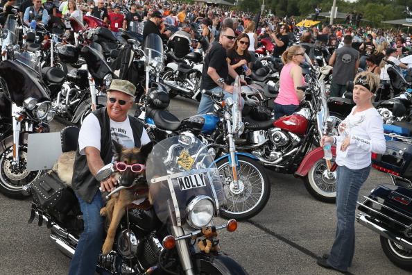 Jim Tremmel et son chien Molly se réunissent avec d'autres passionnés de motocyclettes dans un stationnement à Miller Park avant de faire une parade au centre-ville pour célébrer le 110e anniversaire de Harley-Davidson. Photo par Scott Olson / Getty Images.