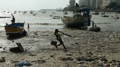 Plastique interdit à Bombay : McDo, Burger King et Starbucks verbalisés