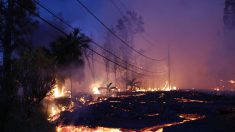 Eruption volcanique aux Galapagos: 50 riverains évacués