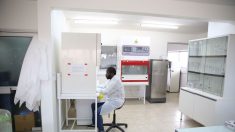 Au Gabon, un laboratoire ultra-sécurisé contre le virus Ebola