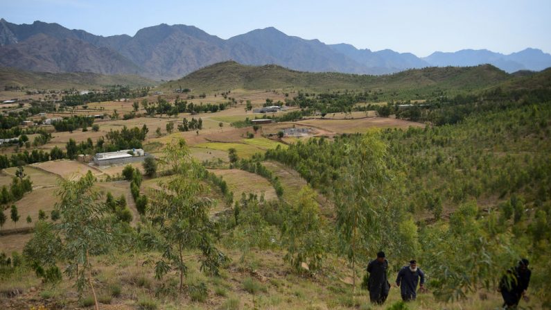 photo prise le 18 mai 2018, les gardes du département forestier de Khyber Pakhtunkhwa se rassemblent sur un site de plantation d'arbres à Buner, dans le nord-ouest du Pakistan.  Photo FAROOQ NAEEM/AFP/Getty Images.