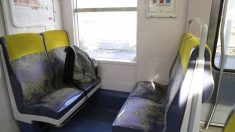 Des adolescents trouvent 4 000 euros en billets dans le RER A et remettent l’argent à la police