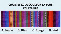 Il ne s’agit pas d’un simple test de couleurs – quand vous l’aurez terminé, vous connaîtrez votre véritable âge mental !