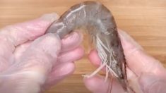 Un homme montre la technique appropriée pour préparer les crevettes – j’aurais aimé le savoir avant