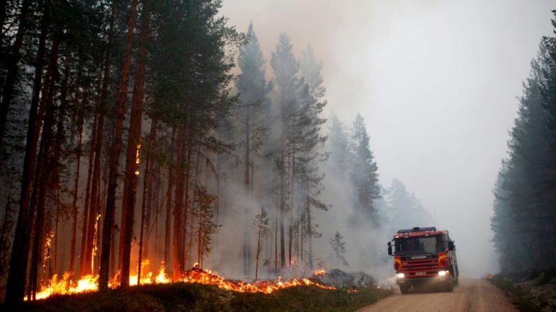 (Photo : ANDERSSON/AFP/Getty Images)