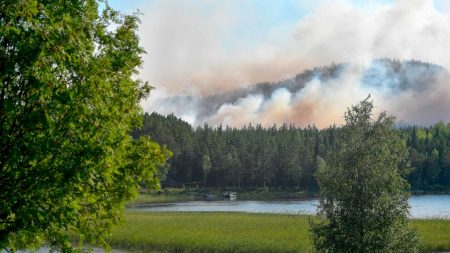 La Suède face au risque « extrême » de nouveaux incendies à l’approche de la canicule