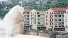 Après des inondations meurtrières, le Japon se prépare à un typhon