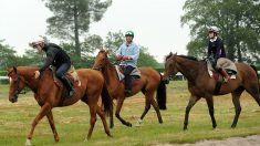 Equitation/complet – L’élite mondiale au haras de Jardy