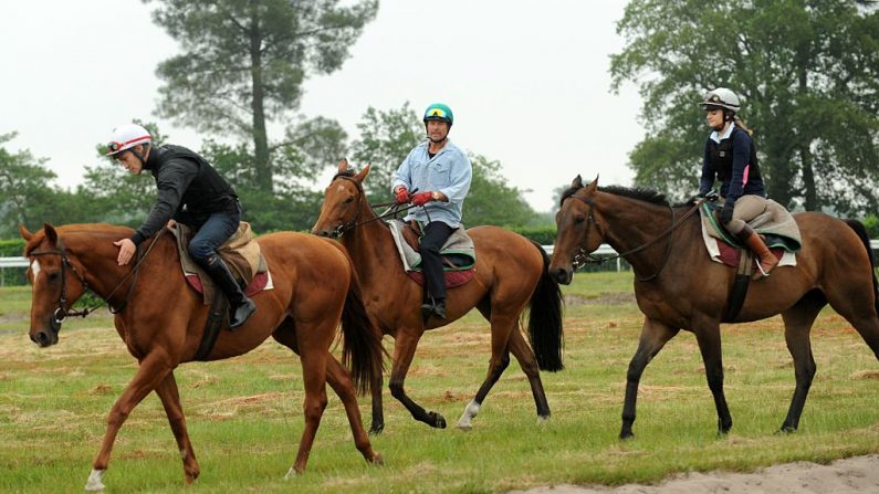 Au concours mondiaux les cavalières brillent autant que les cavaliers. Photo IROZ GAIZKA / AFP / Getty Images. 