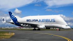 France: premier vol du Beluga XL, le géant de la famille Airbus