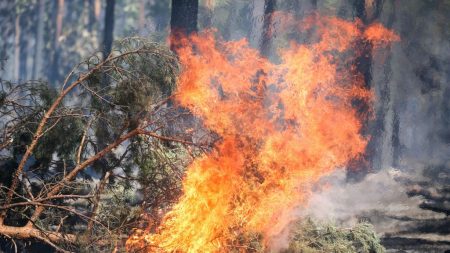 La vague de chaleur en Europe provoque sécheresse et incendies