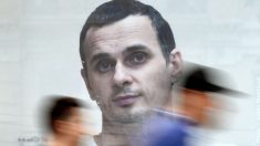 La mère du cinéaste ukrainien Sentsov appelle Poutine à sa libération