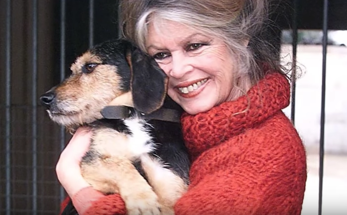 Brigitte Bardot est présidente de la fondation Bardot.