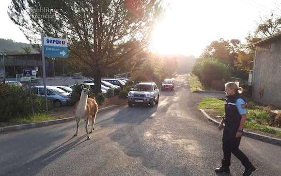 (Capture d'écran Facebook yves-galos)