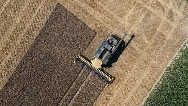 Une photo aérienne prise avec un drone le 1er août 2018 montre un agriculteur dans une moissonneuse-batteuse travaillant dans un champ, dans le sud de l'Allemagne. Photo : FELIX KASTLE / AFP / Getty Images.