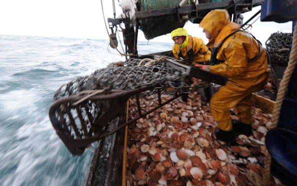 Trente-cinq bateaux normands ont cherché à faire fuir cinq bateaux britanniques d'un gisement de coquilles Saint-Jacques. Photo MARCEL MOCHET/AFP/Getty Images