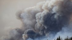 Dans l’ouest de la France, le ciel s’est voilé de fumées provenant des incendies du Canada