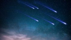 Une pluie d’étoiles filantes prévue ce week-end