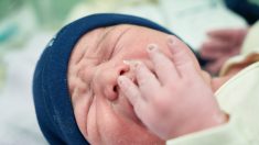 Des bébés hospitalisés sont câlinés par des bénévoles, une nouvelle méthode pour les rassurer