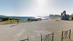 La Ciotat : le grand succès des plages autorisées aux chiens