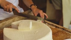 Vous cherchez un job ? une entreprise vous propose d’être payés pour manger du fromage…