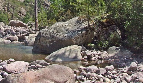 Un demi bidon d'huile de moteur déversée dans une rivière en Haute-Corse (Photo : Pixabay)
