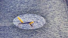 Les gens n’en reviennent pas de voir ce crocodile s’amuser avec un jouet de piscine