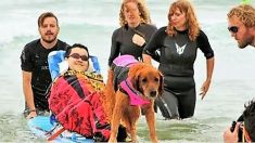 Un chien de thérapie guérit les coeurs et les âmes en surfant avec des enfants qui ne peuvent pas marcher, manger ou respirer