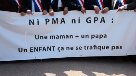 France: le comité d’éthique favorable à l’extension de la PMA à toutes les femmes