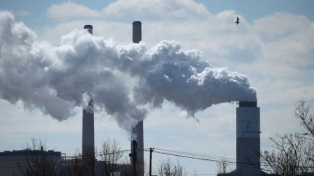 Débat sur le climat : sommes-nous dupés par un langage sur le carbone qui vise à tromper ?