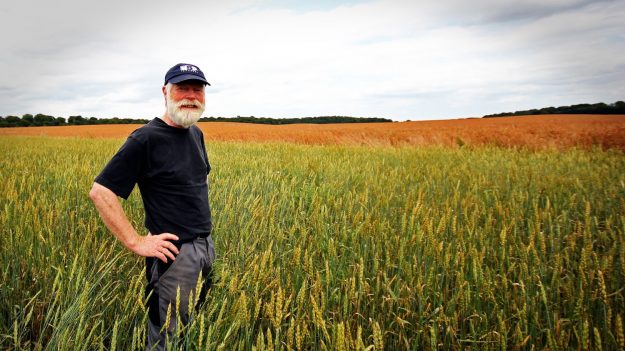 Jamais les agriculteurs n’ont été aussi nombreux à se convertir au bio – le gouvernement pourra-t-il tenir ses promesses ?