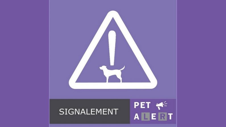 (Crédit image : Facebook - Pet Alert Var 83)