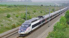 Essonne : un homme agresse une jeune fille dans le train et la vole, les passagers interviennent