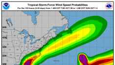 L’ouragan Michael élevé en catégorie 2, vents de 155 km/h (météo)