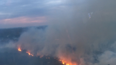 90 hectares détruits après un feu en forêt aux portes de Paris