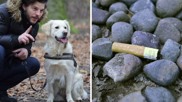 Oise : des amendes salées pour mégot jeté ou déjection canine non ramassée à Pont-Sainte-Maxence