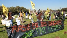 Suicide chez les agriculteurs : il faut les aider « à vivre, et non les aider à mourir »