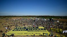 Des milliers de manifestants anti-charbon dans une forêt allemande