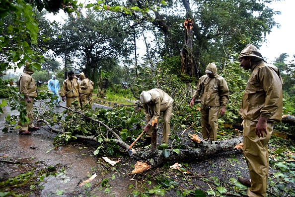 -Des hommes indiens enlève un arbre tombé pour dégager la route entre Gopalpur et Berhampura après que des vents violents apportés par le cyclone Titli se soient abattus sur la région, dans l'est de l'État d'Odisha, le 11 octobre 2018. Photo ASIT KUMAR / AFP / Getty Images.