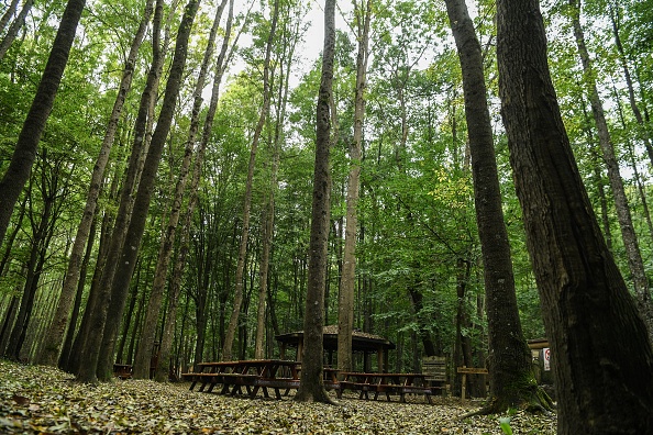 -Cette photo prise le 19 octobre 2018 montre la forêt d'Istanbul à Belgrade dans laquelle la police turque a perquisitionné pour enquêter sur la disparition du journaliste saoudien Jamal Khashoggi, disparu après sa visite au consulat saoudien il y a 17 jours. Photo OZAN KOSE / AFP / Getty Images.