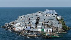 La disputée Migingo, une carapace de tôle sur le lac Victoria