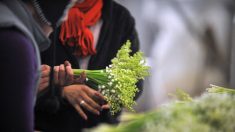 Dordogne : une collégienne de 14 ans vend du muguet pour faire un don à la SPA