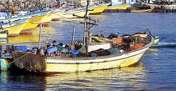 -Quelque 4 000 pêcheurs vivent de la mer dans la bande de Gaza dans une petite zone de pêche désignée par les autorités israéliennes. Photo par Ahmad Khateib / Getty Images.