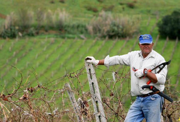 -Un terrain agricole sera offert aux parents qui auront un troisième enfant dans les prochaines années. Photo MARCELLO PATERNOSTRO / AFP / Getty Images.