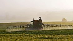 Glyphosate : Monsanto aurait créé des groupes de faux agriculteurs